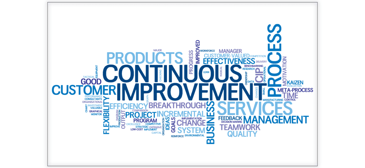BSS 010 Continuous Improvement Cycle